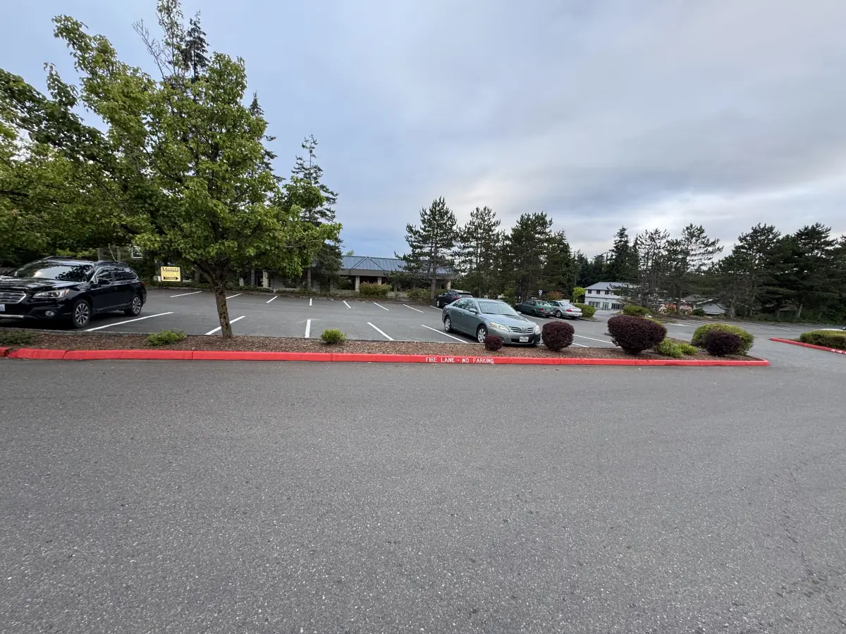 Freshly painted red FIRE LANE NO PARKING curb at a commercial property