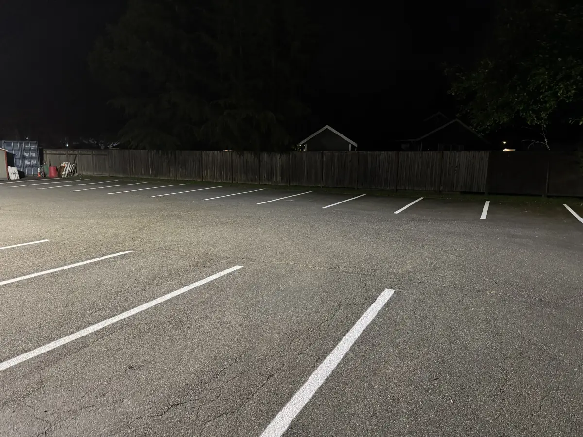 Fresh white parking lines drying overnight at a commercial lot