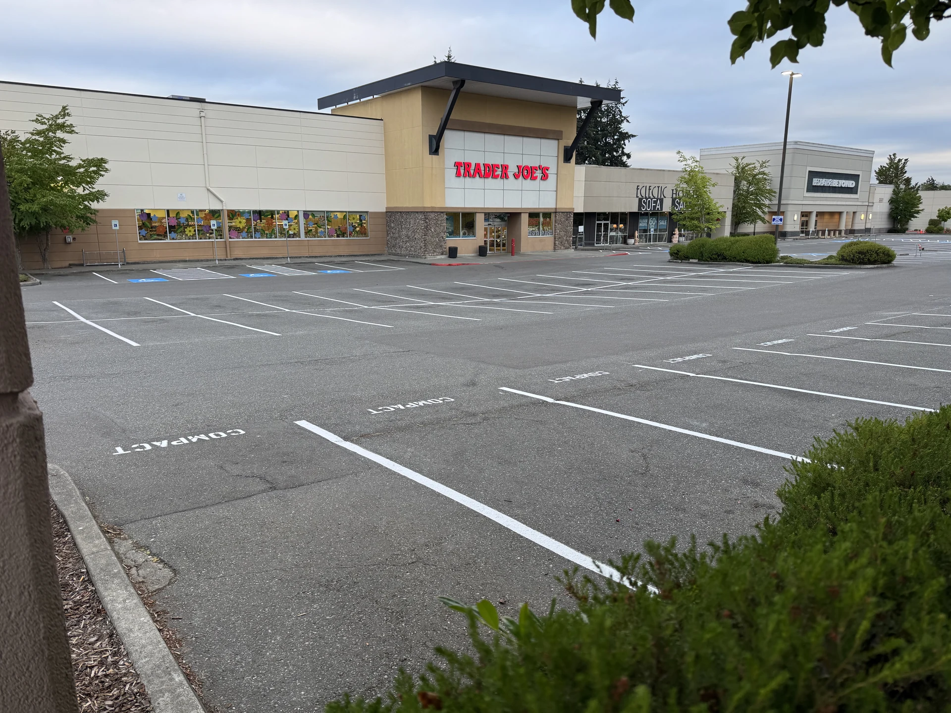 Retail shopping center parking lot with bright new white stalls, compact markings and ADA spaces
